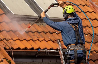 Démoussage et hydrofuge de toiture à Palasca